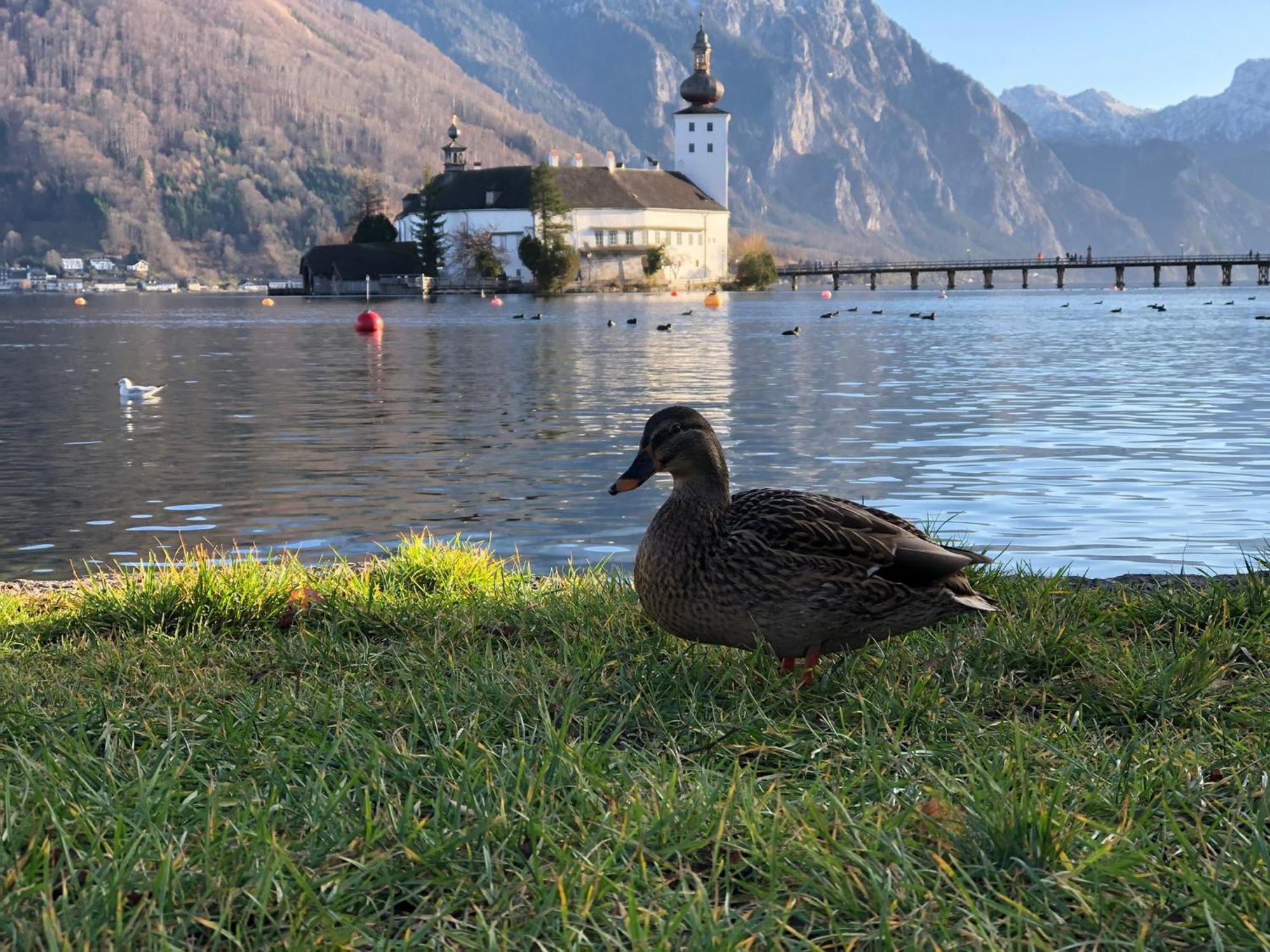Seepanorama An Der Esplanade 1 Гмунден Экстерьер фото